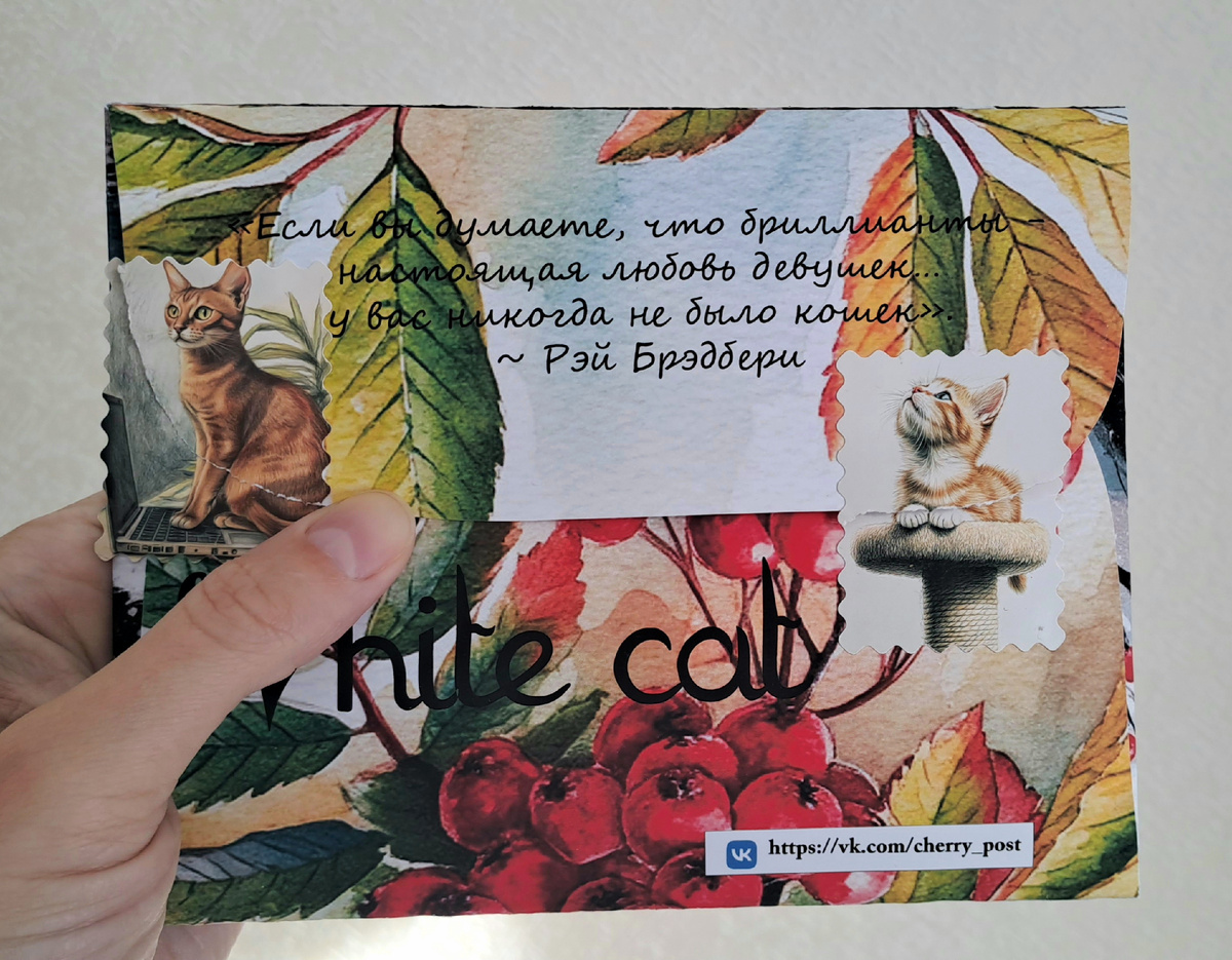 Вот такой конветик красивый. Был упакован ещё в пакет с адресом и марками (здесь и далее все фото сделаны автором статьи)