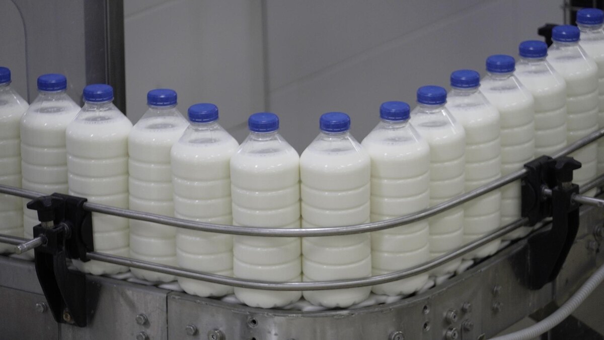 Фото: ИЗВЕСТИЯ/Сергей Венявский