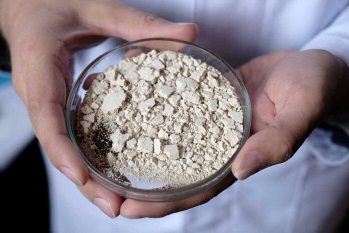    Инновационные продукты из сибирской лиственницы: хлеб и упаковка, ставшие главными трендами 2029 года. novostix