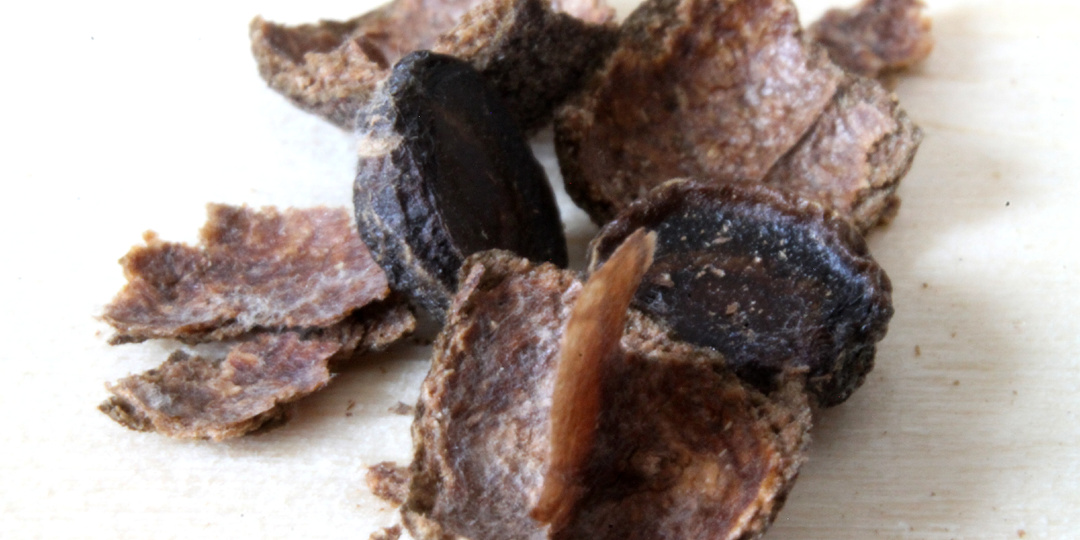 Настоящая макросъемка