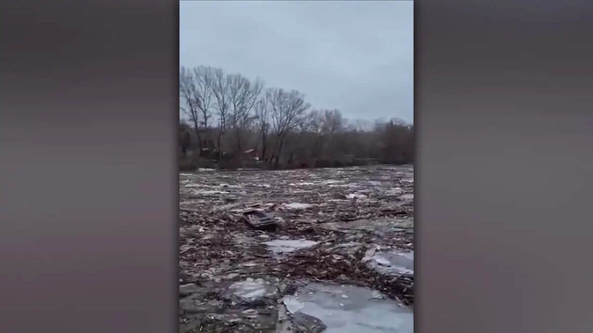    Мусор в реке. © Соцсети