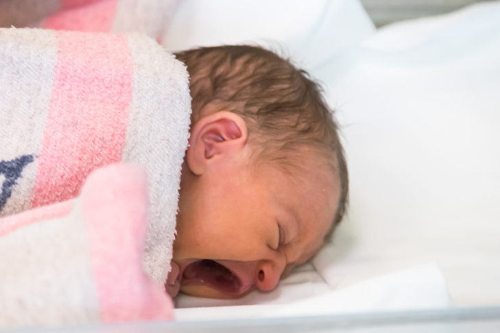    Фото Андрея Заржецкого