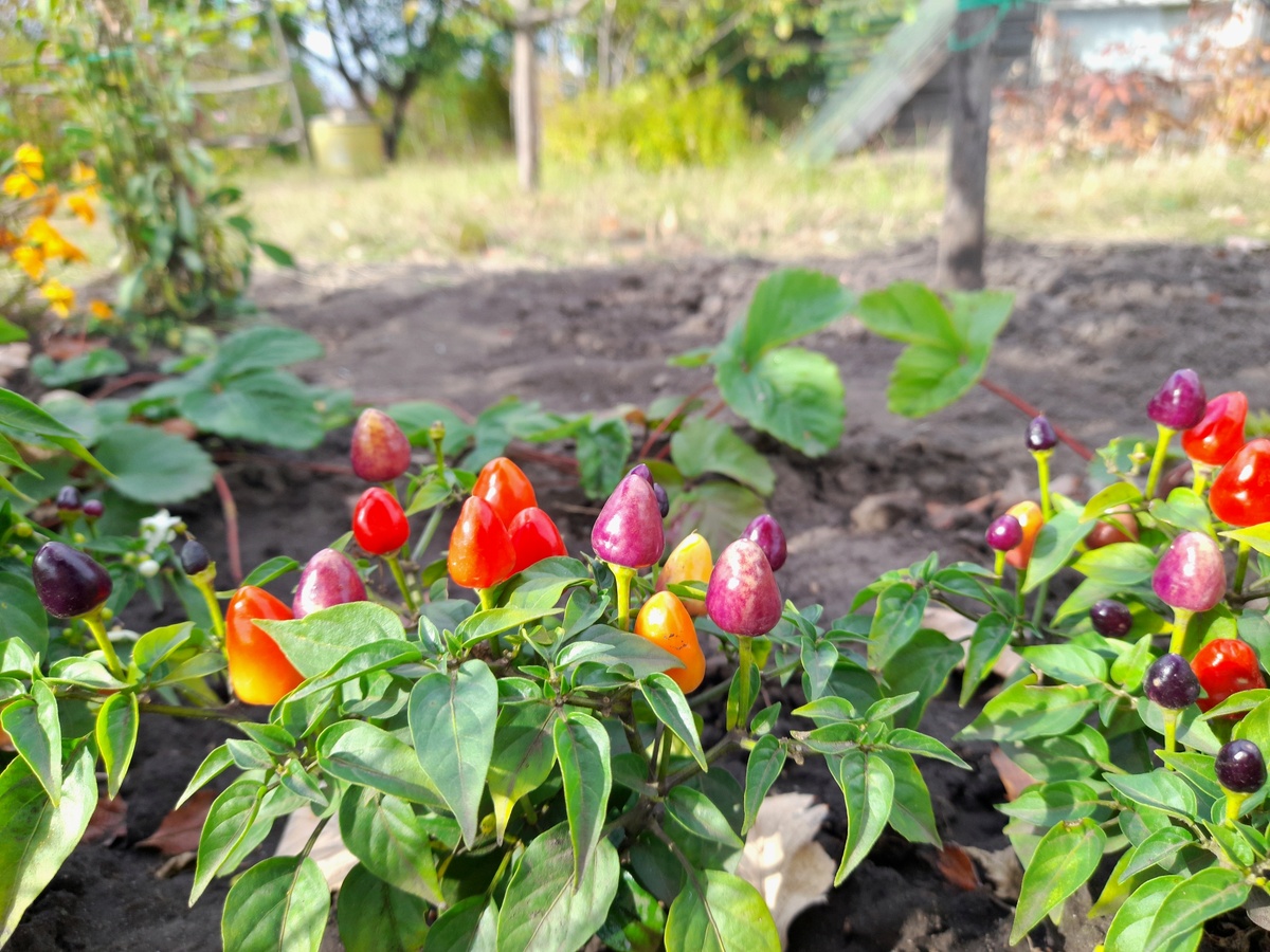 Когда я была моложе, ровно  пять месяцев назад