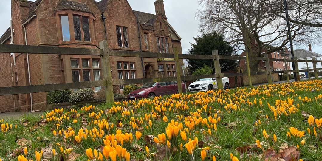 Почему Англия помешана на подснежниках и крокусах: истоки любви и веры в чудо