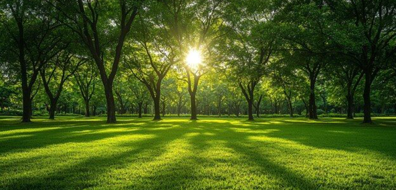 Только сейчас 