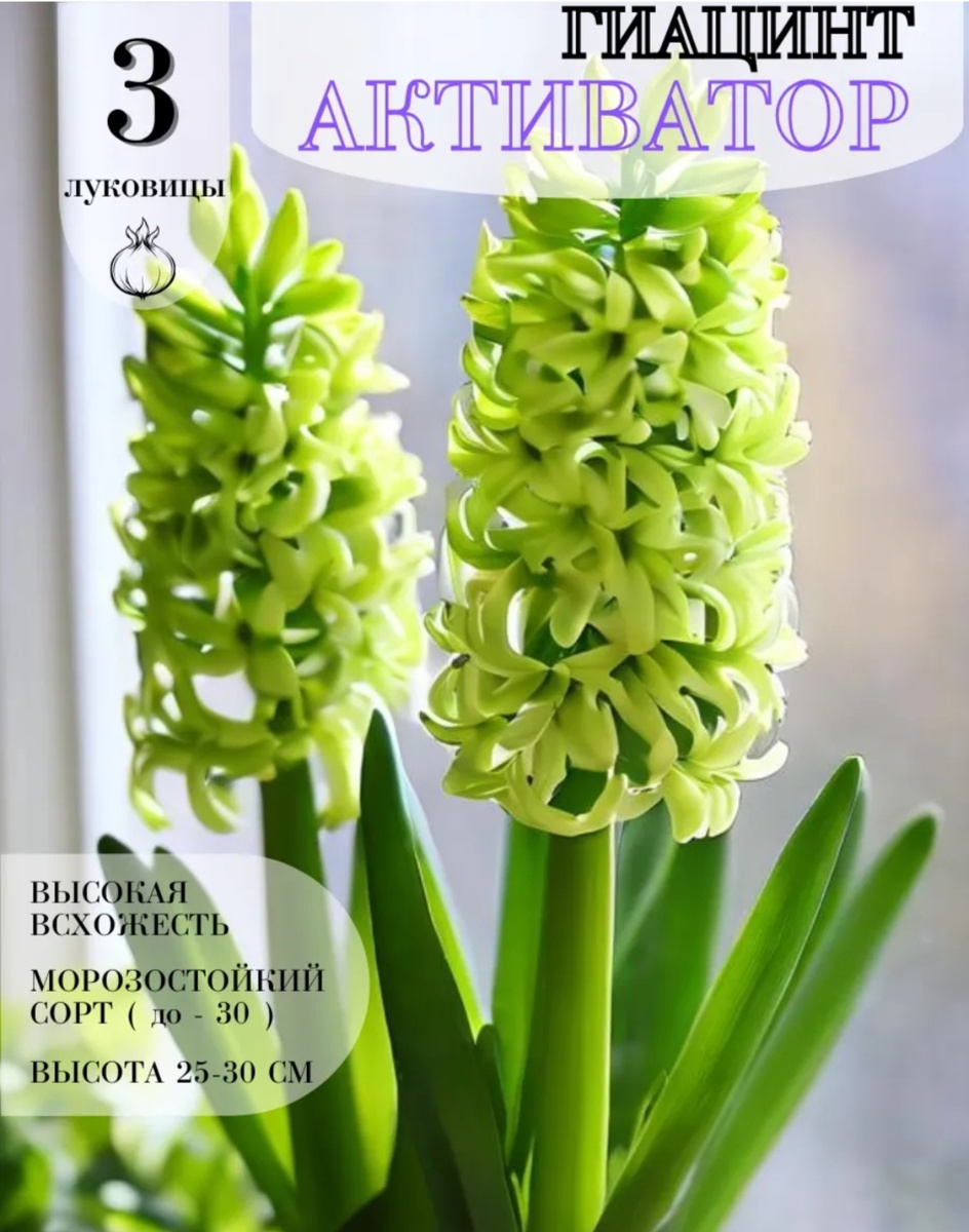 Скриншот с Вайлдберриз