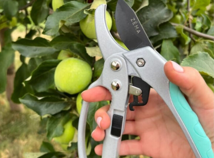 Что обрезать в саду в марте, а что лучше вообще не трогать❗️