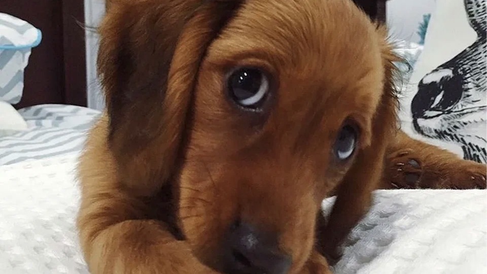 Нужна помощь