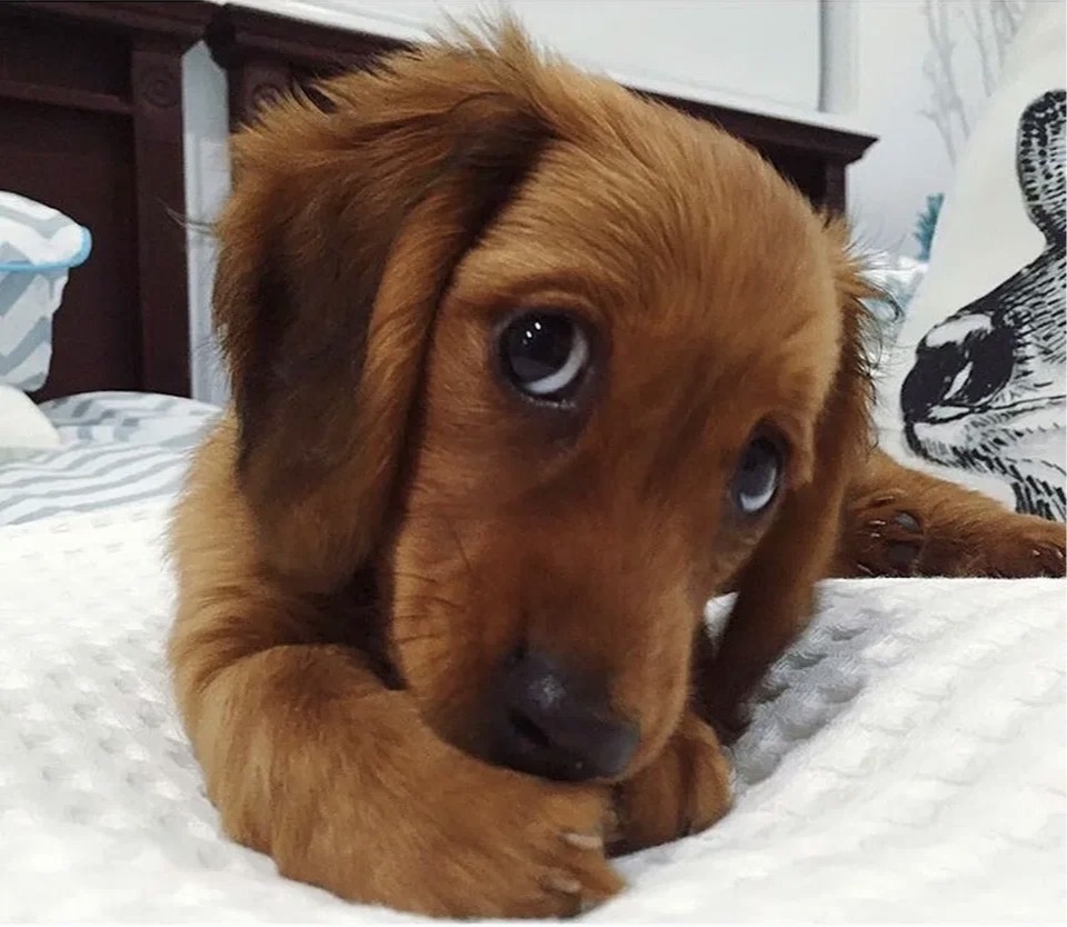 Для обложки и настроения