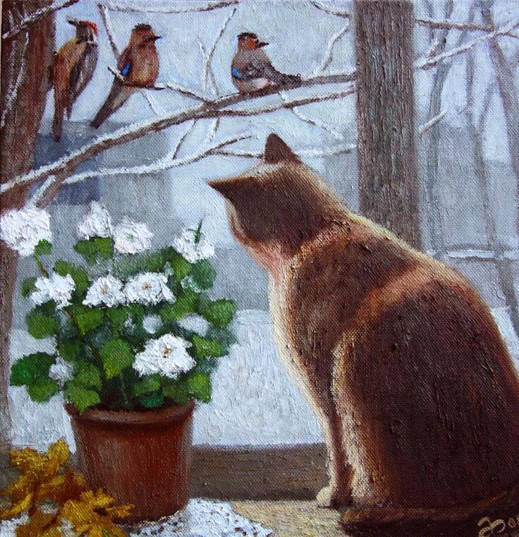 из интернета