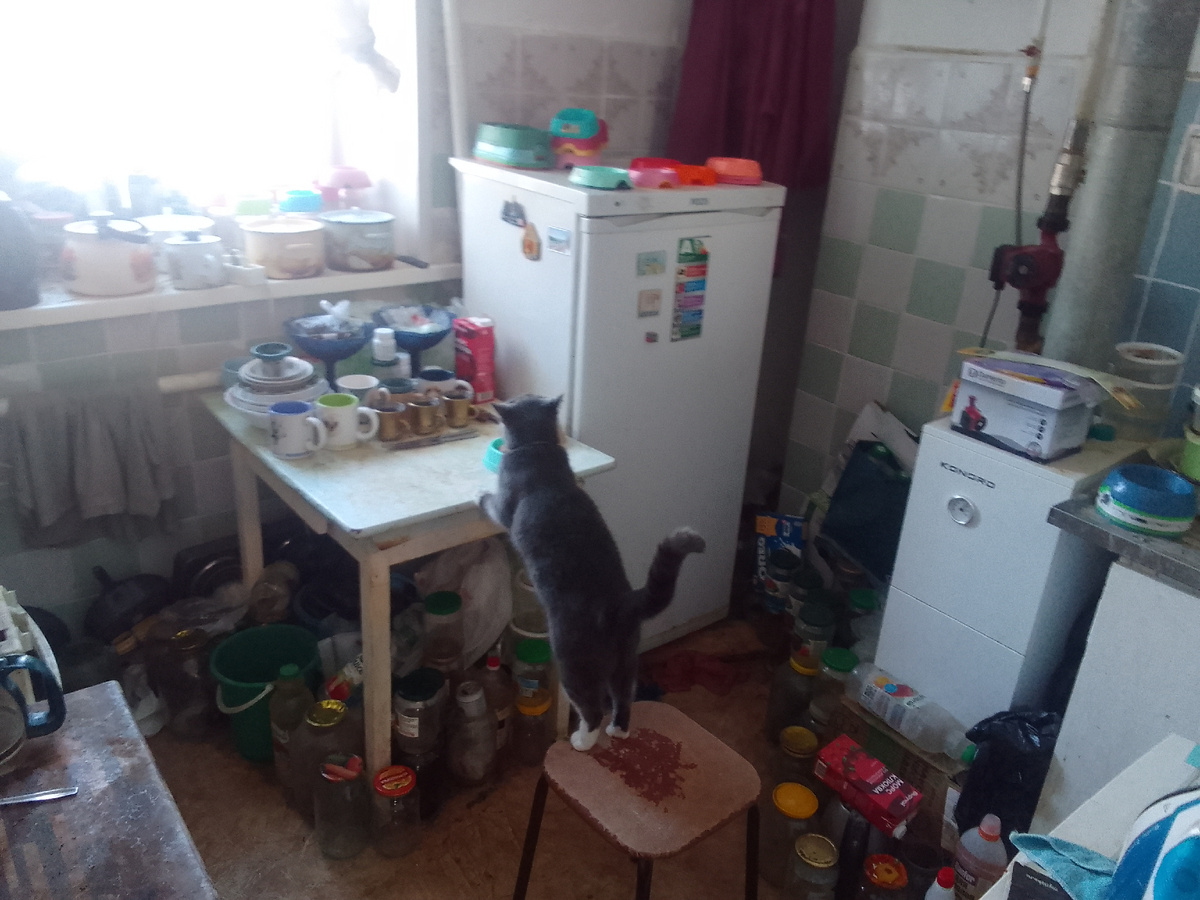 Мышуля ворует