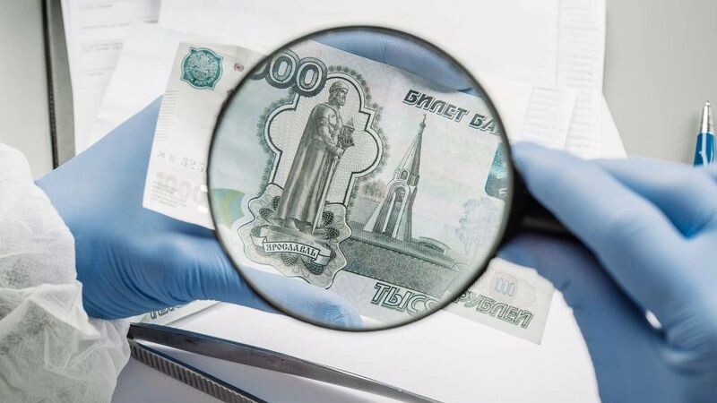    Фото: PRESSLAB/Shutterstock/Fotodom