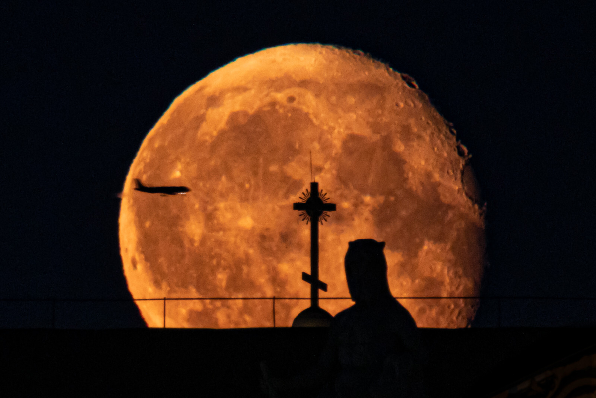 Фото: Дмитрий Фуфаев / «Петербургский дневник» 