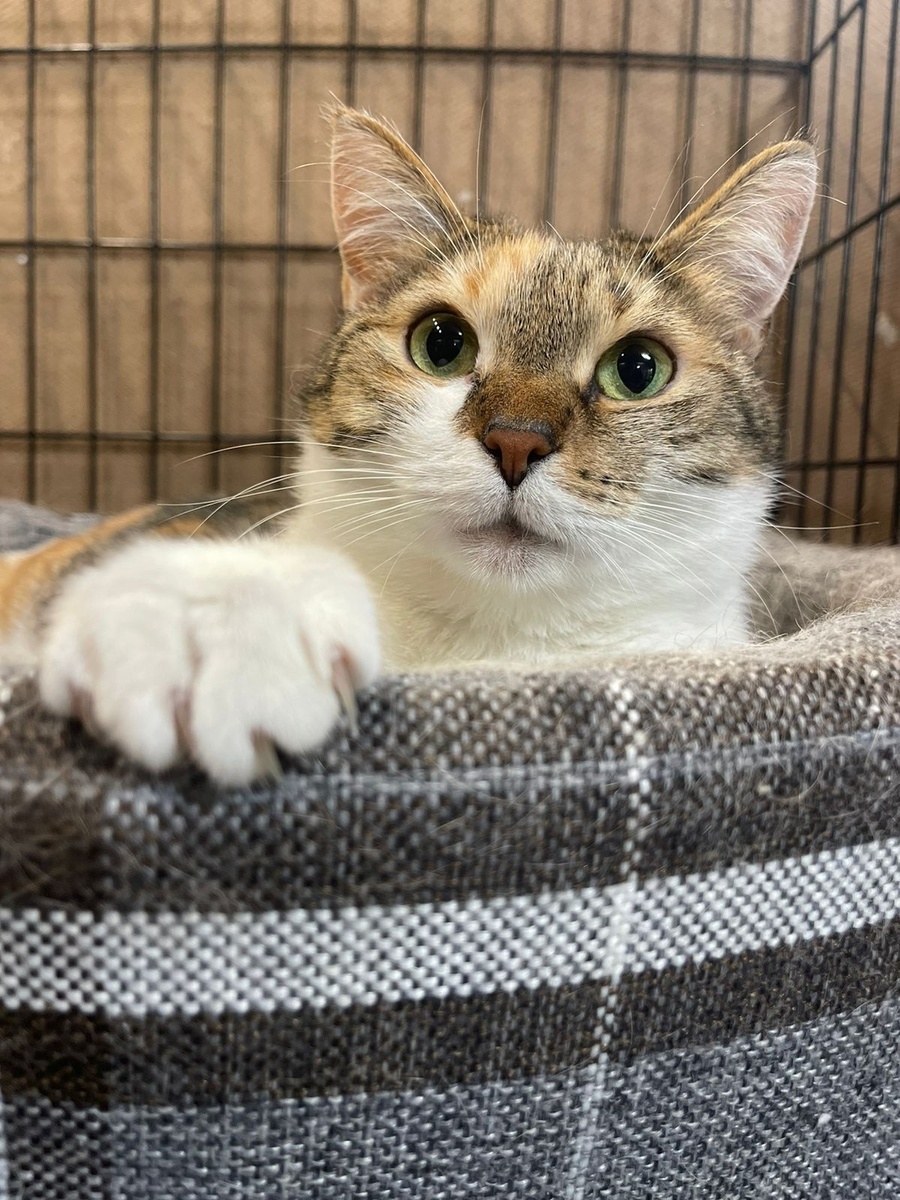 Ждала. И дождалась!!