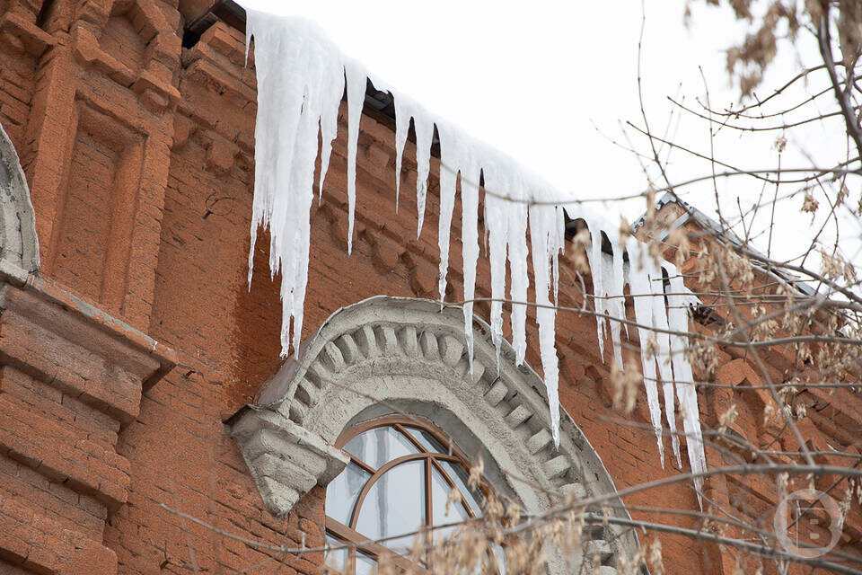    Фото: Дмитрий Рогулин / "Городские вести"
