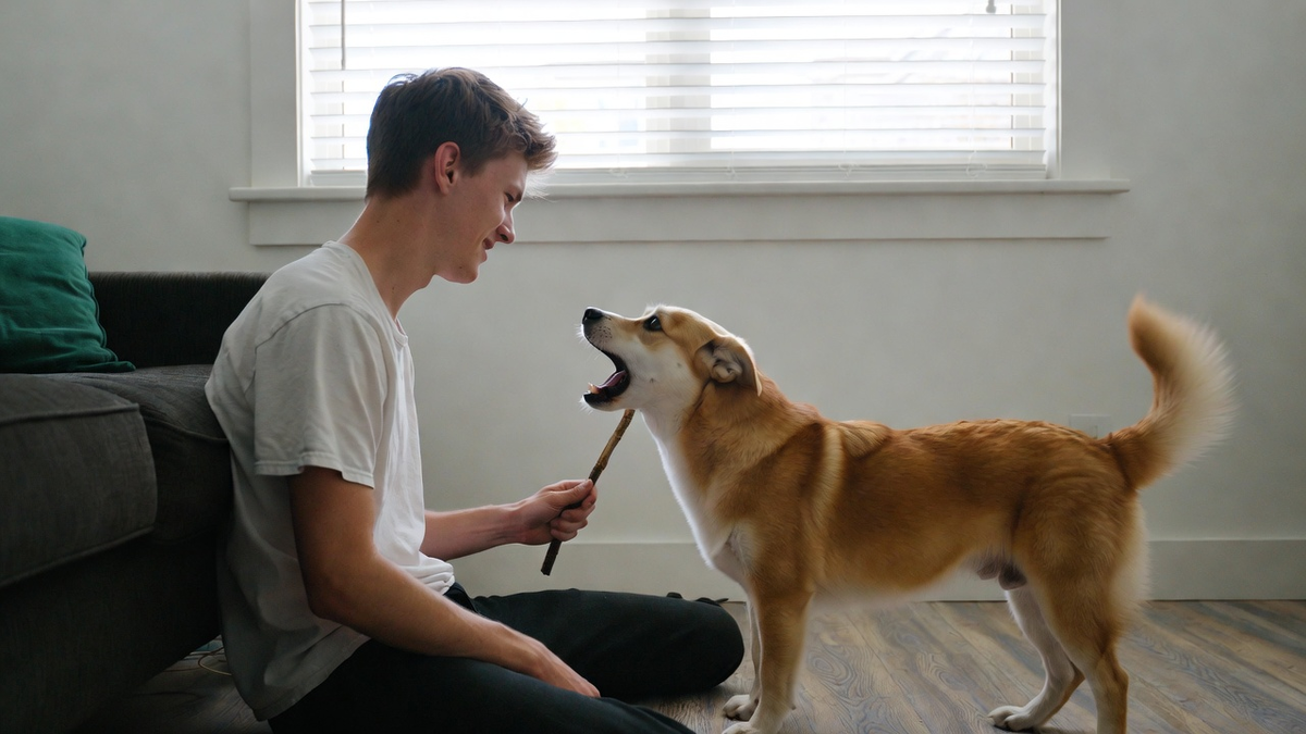 Фото: сгенерировано нейросетью / Ветренко Александра