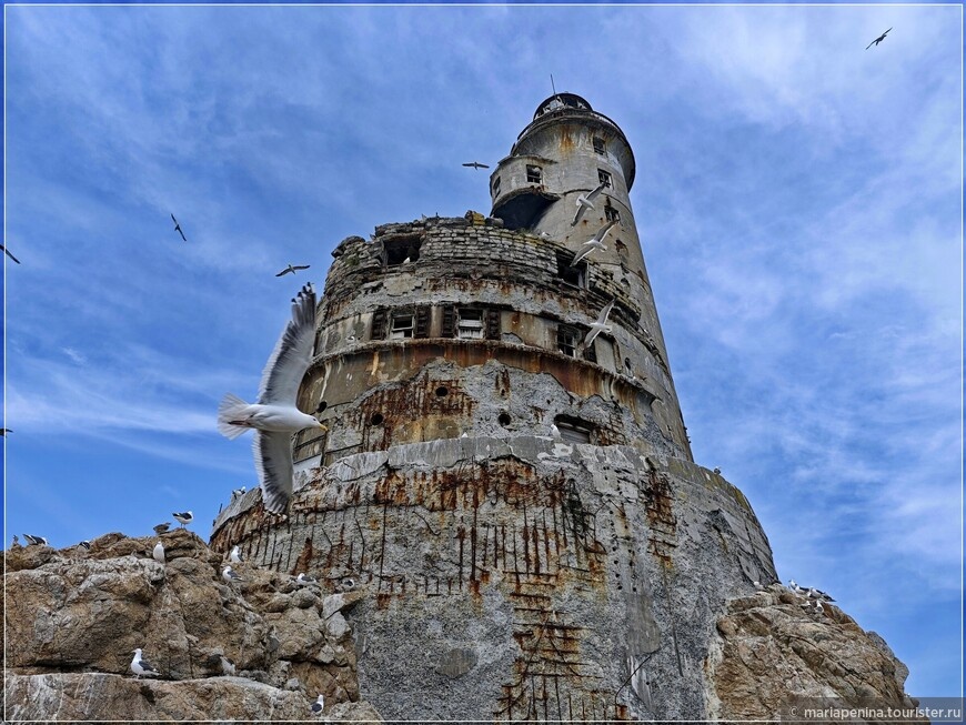 © Мария Пенина