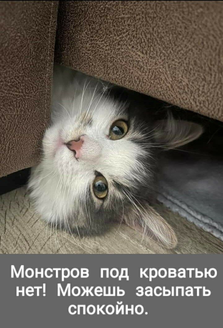 фото из интернета