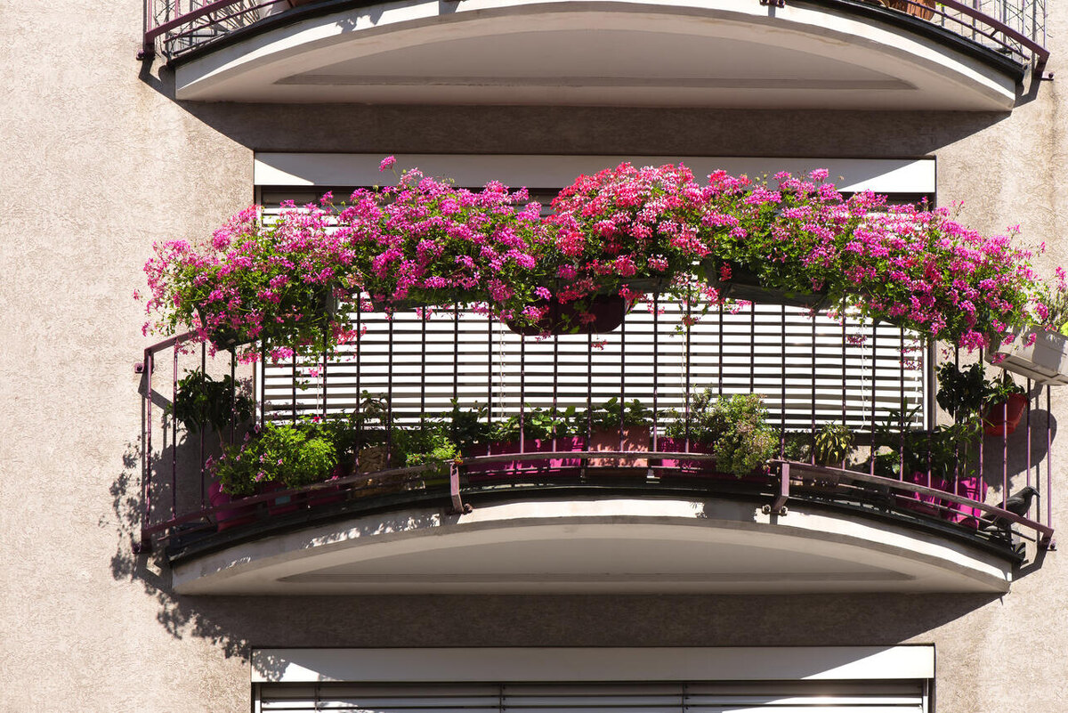     123RF/legion-media.ru