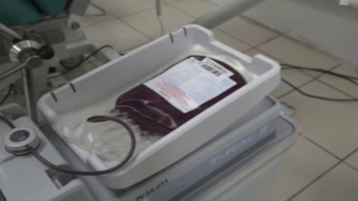    В Курске проходит ежегодная донорская акция