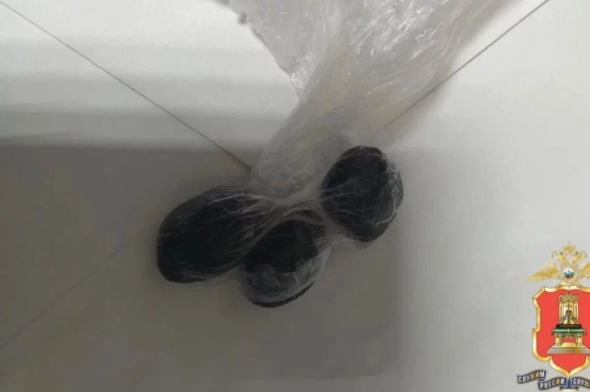    В Тверской области женщина спрятала наркотики в нижнем белье