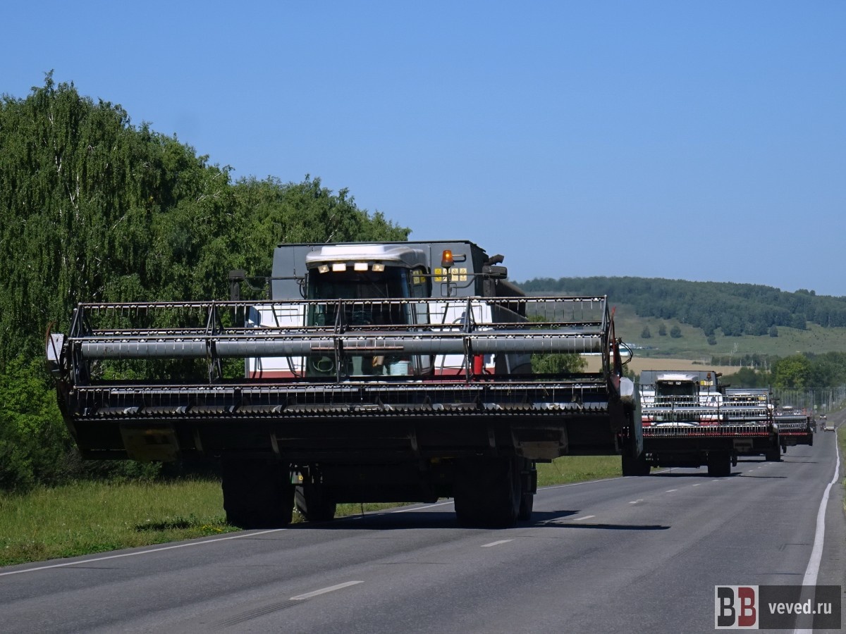     Фото: Владислав Постников / Вечерние ведомости