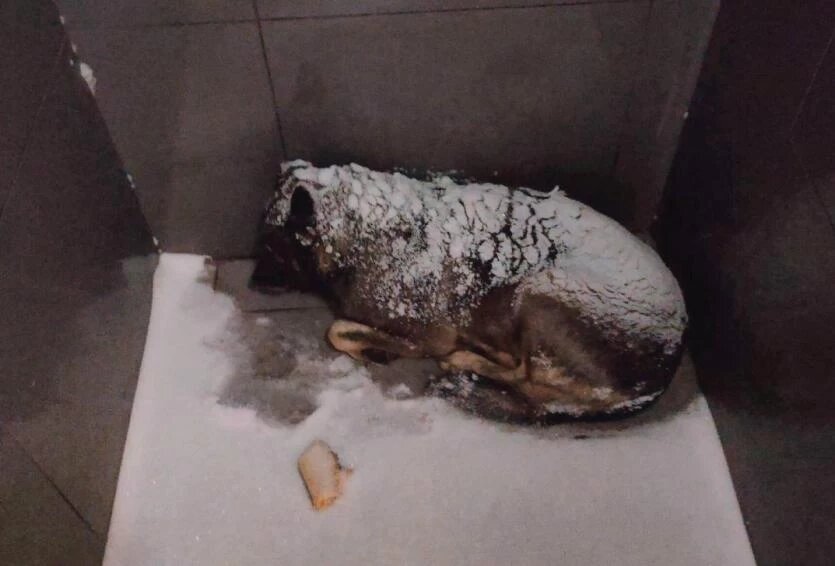 Фото: соцсети