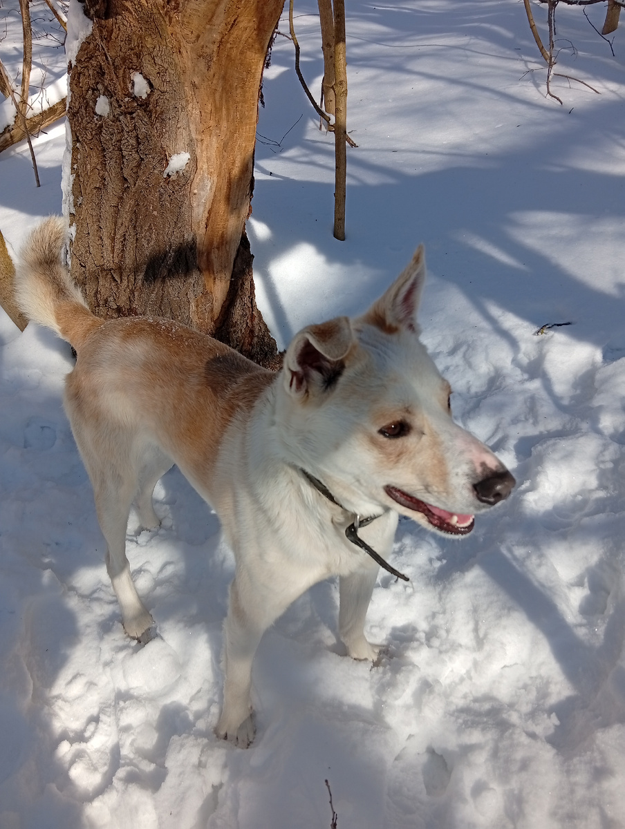 Фото автора