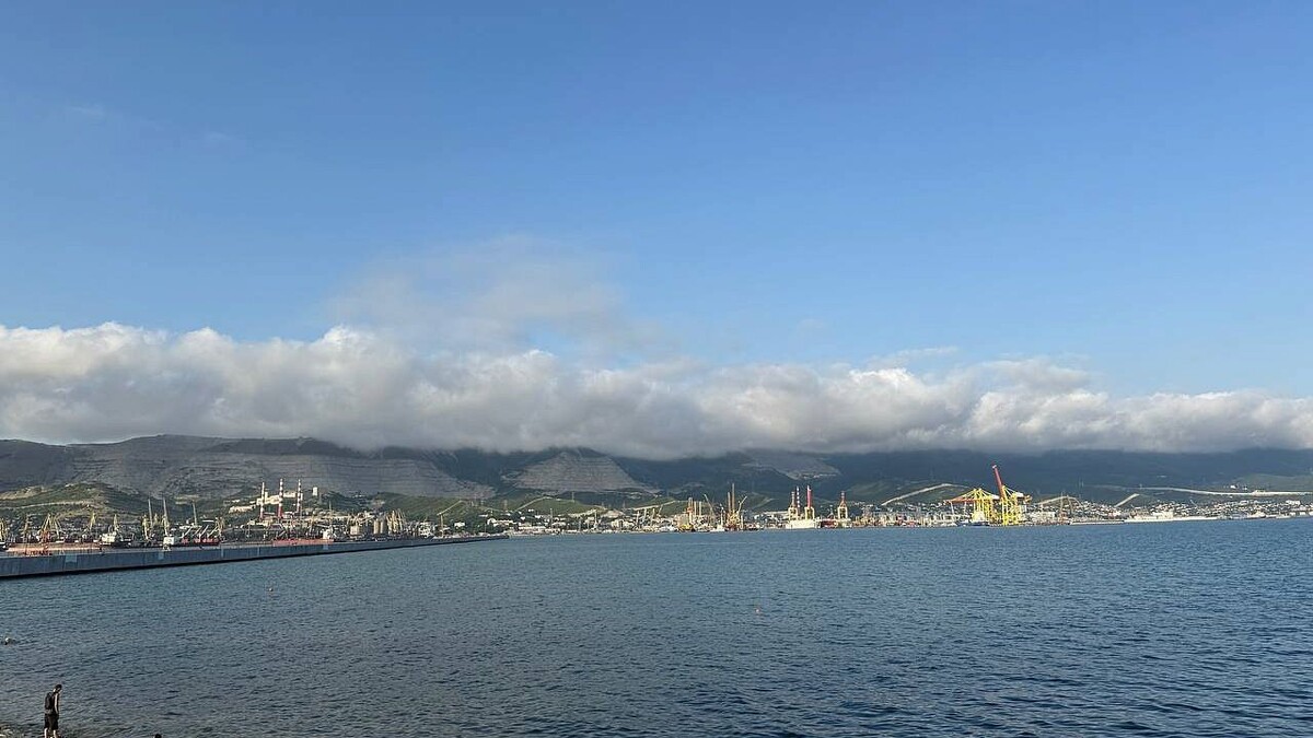    Фото: телеканал «Краснодар»