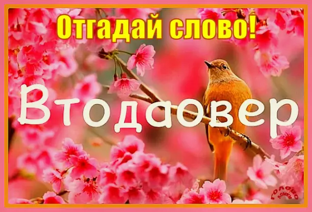 🧩 Анаграмма: угадай слово из 9 букв за 40 секунд!