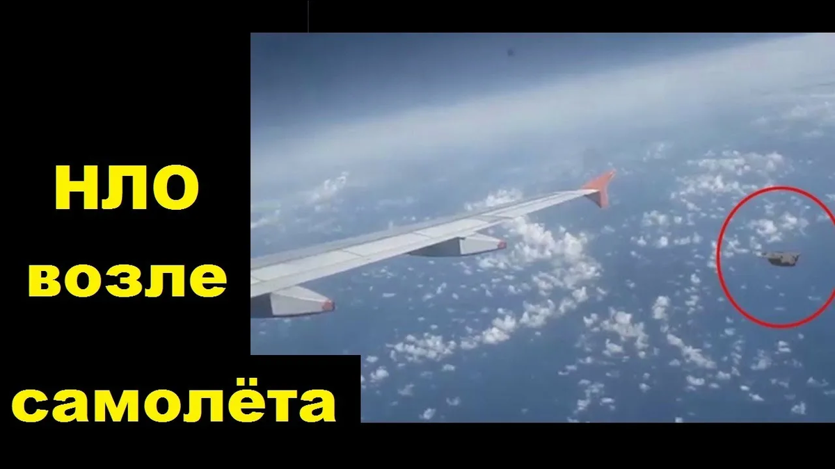 Фото из Яндекса. Спасибо автору.