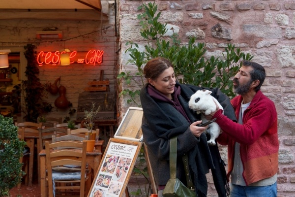 Фото: РИА Новости/Анна Раткогло