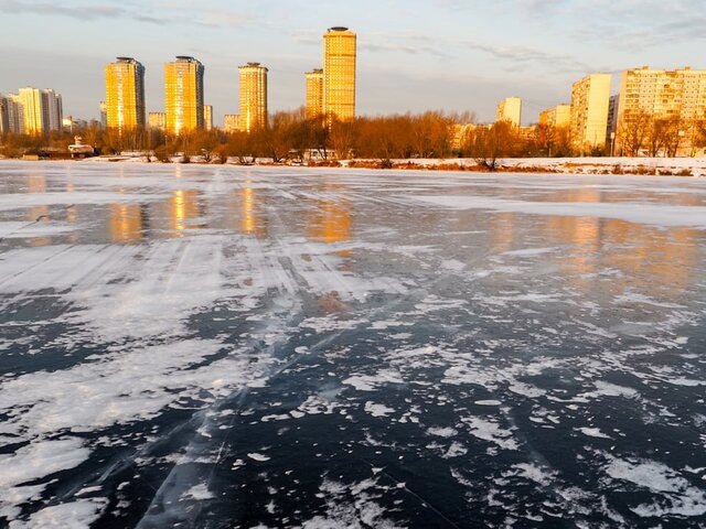   Фото: Москва 24/Лидия Широнина