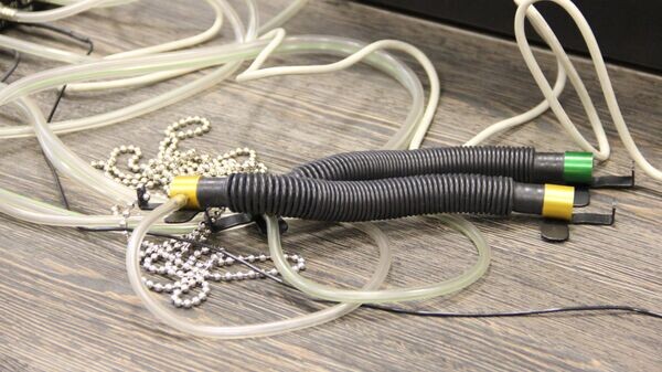    © Sputnik / Ирина Букас