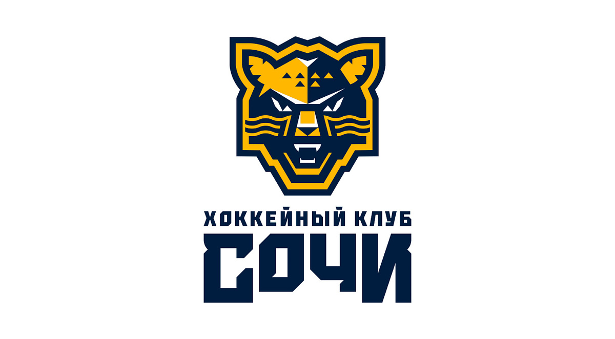 фото: hcsochi.ru  📷
