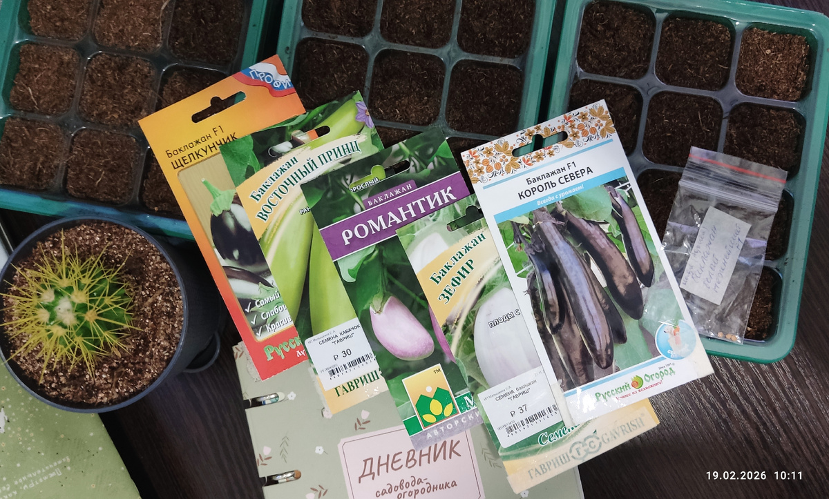 Слева направо: Щелкунчик F1, Восточный принц, Романтик, Зефир, Король севера F1, Нежнейший F1