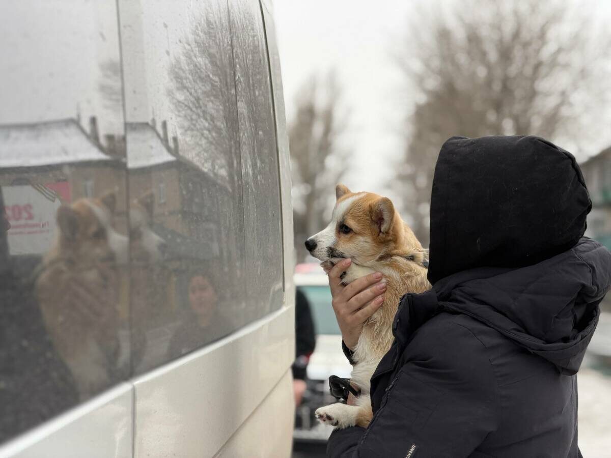 Фото: аппарат вице-премьера РТ Рината Садыкова