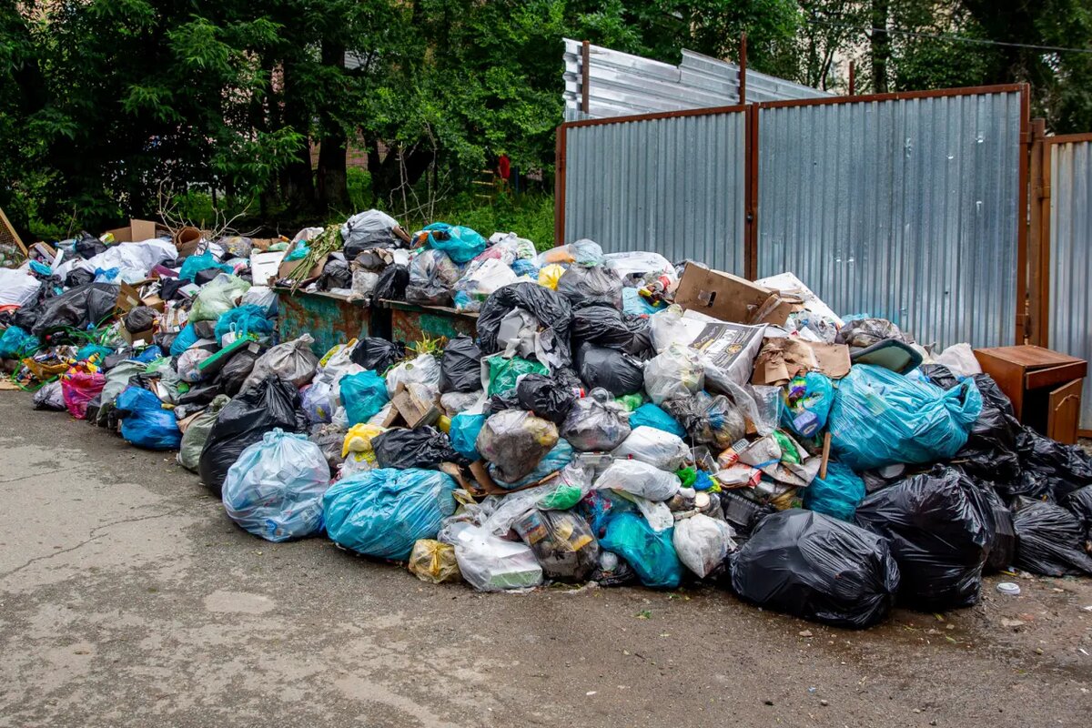    Фото: primamedia.ru Ева Журавлева