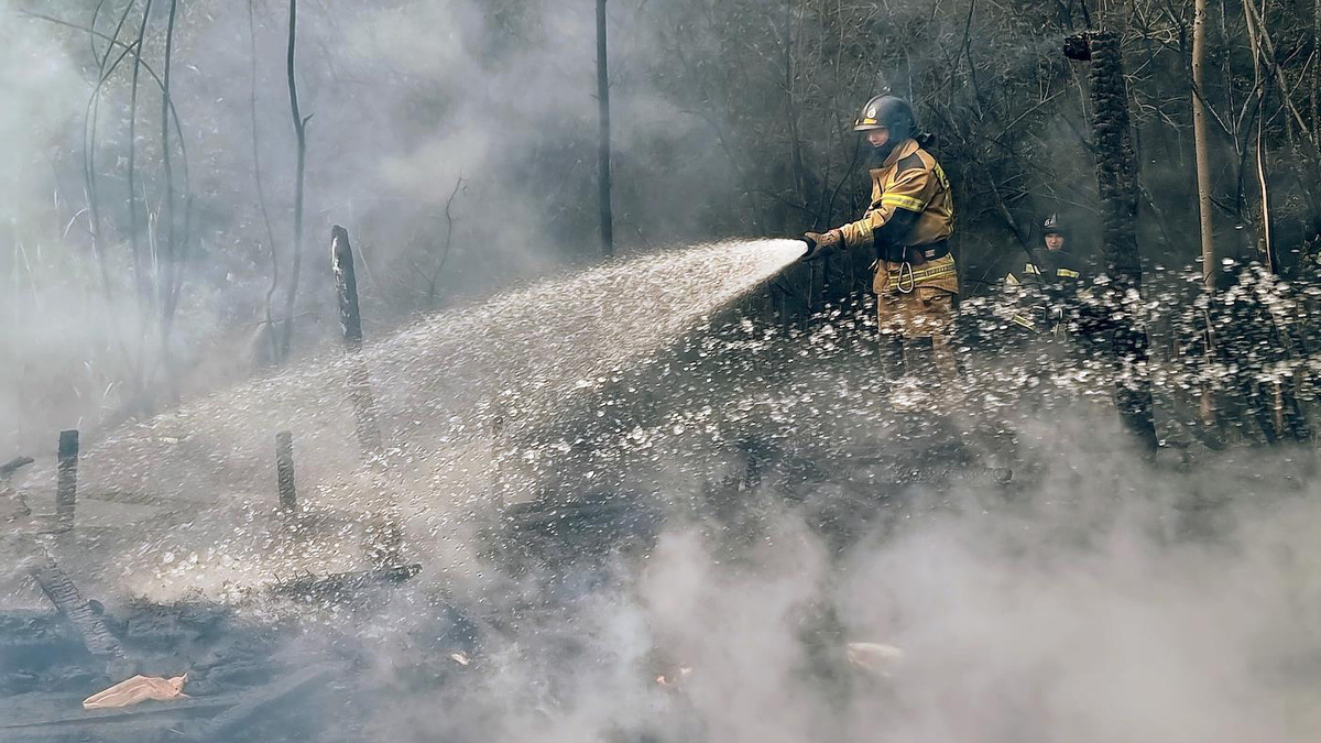   Елена Вах / Коммерсантъ- Архивное фото