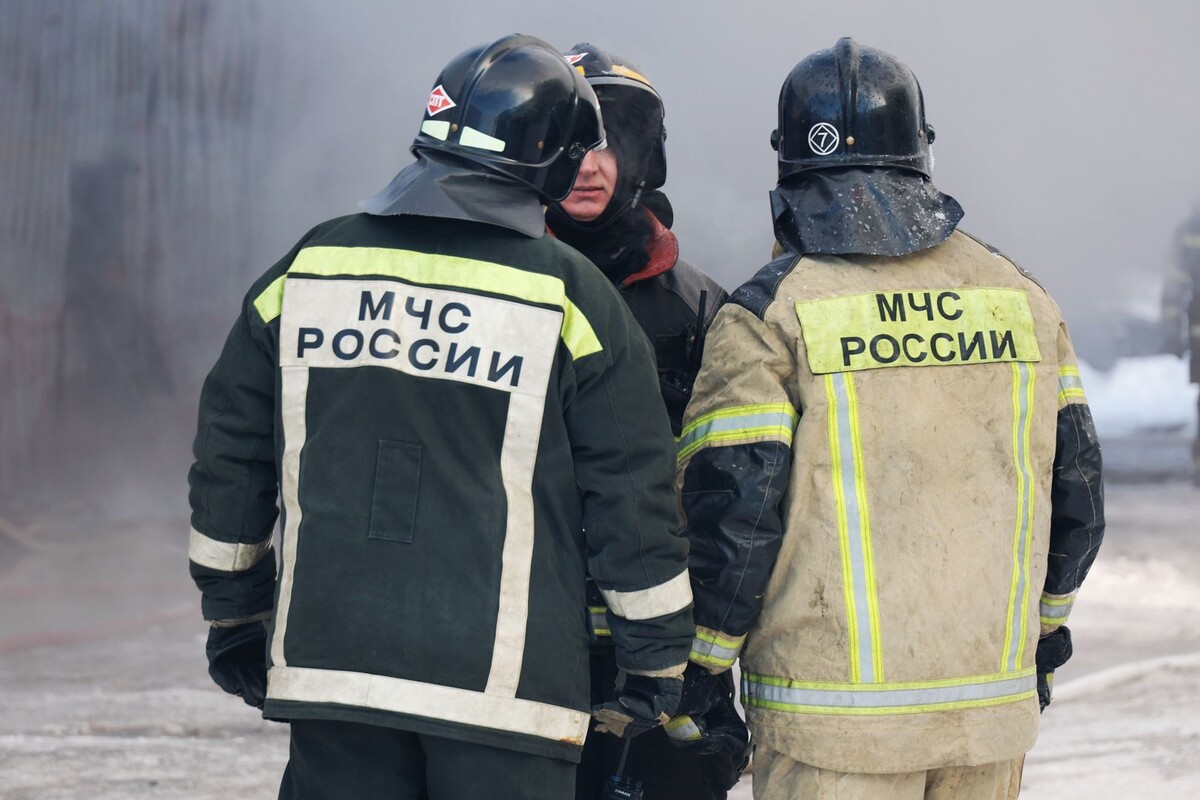     / Источник: © Global Look Press