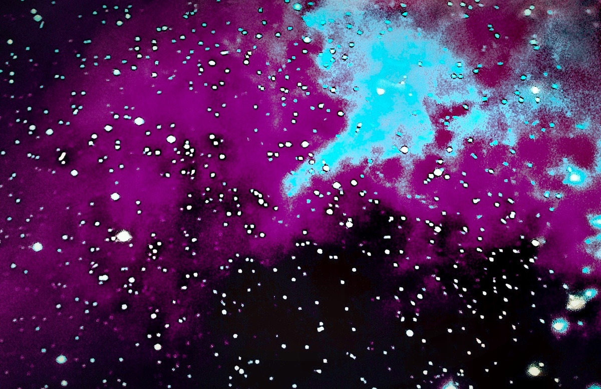 Фото автора. Розовая мечта.