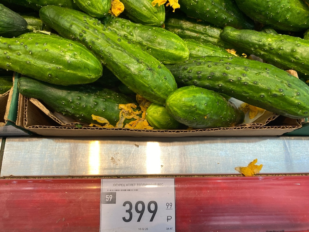 Вот такие у нас огурцы. Фото автора. 
