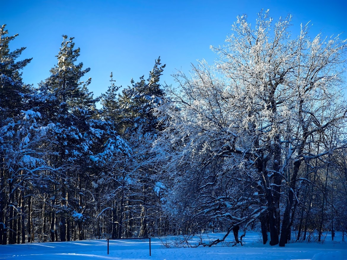 Кумысная поляна зимой.