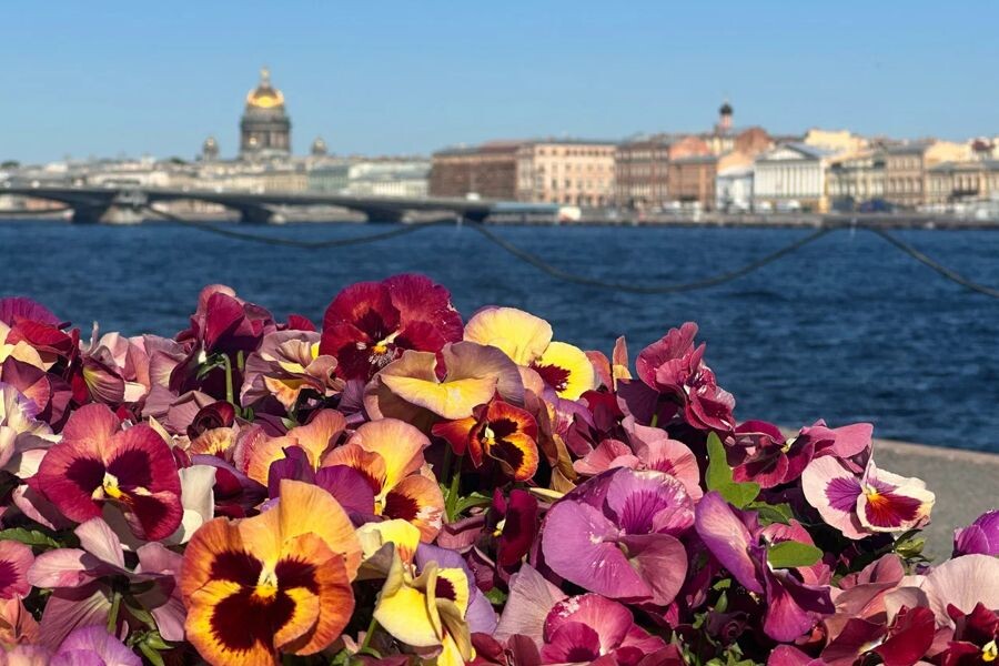 Фото комитет по благоустройству Санкт-Петербурга.