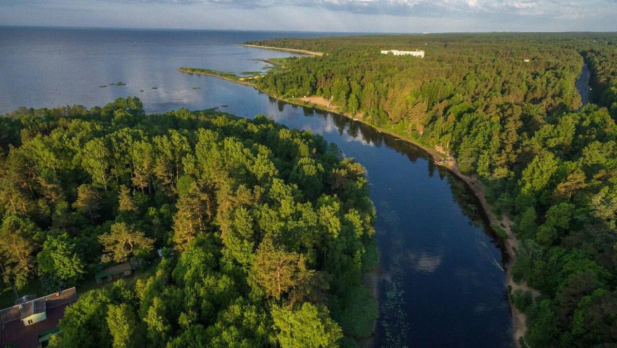    Фото: t.me/k_soloveichik