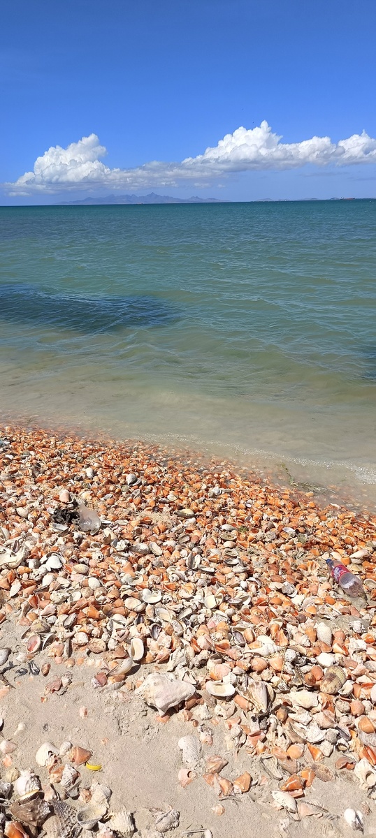 Весь берег  с одной стороны острова усыпан ракушками, которые выброшены морскими волнами . Ракушки тут - мусор. Даже есть маленький заводик с печами, где сжигают это "мусор"...