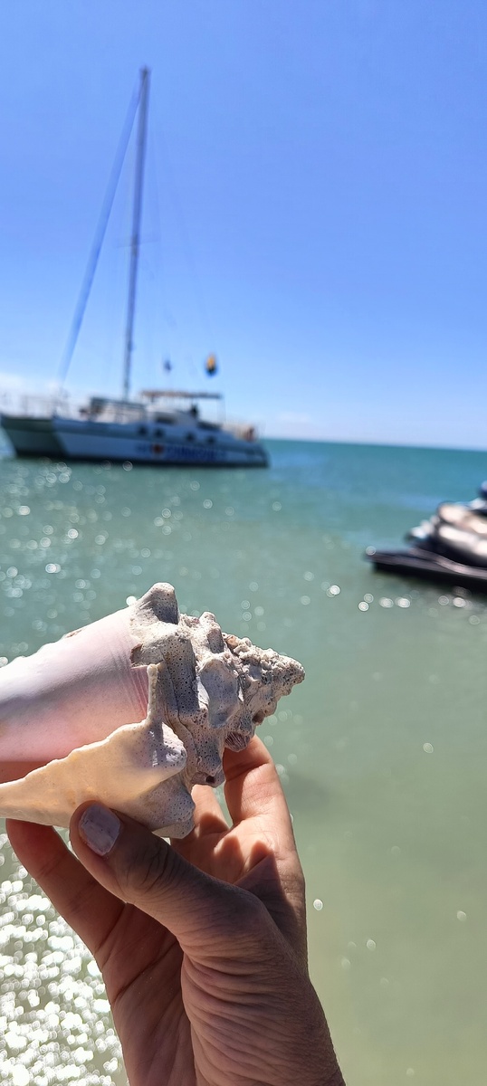 Здесь такие обалденно красивые ракушки