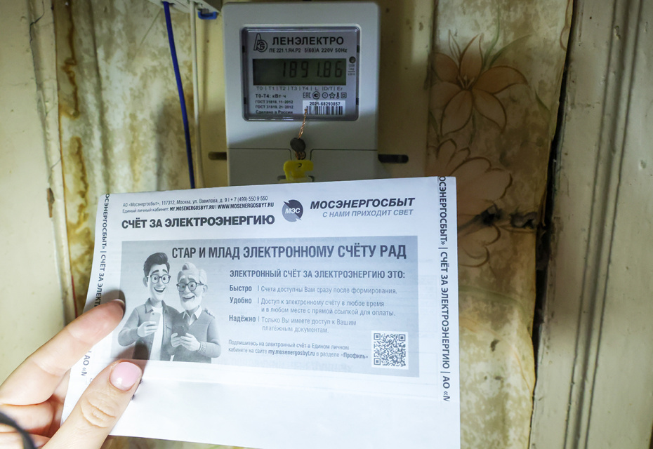    Наталья Шатохина/NEWS.ru