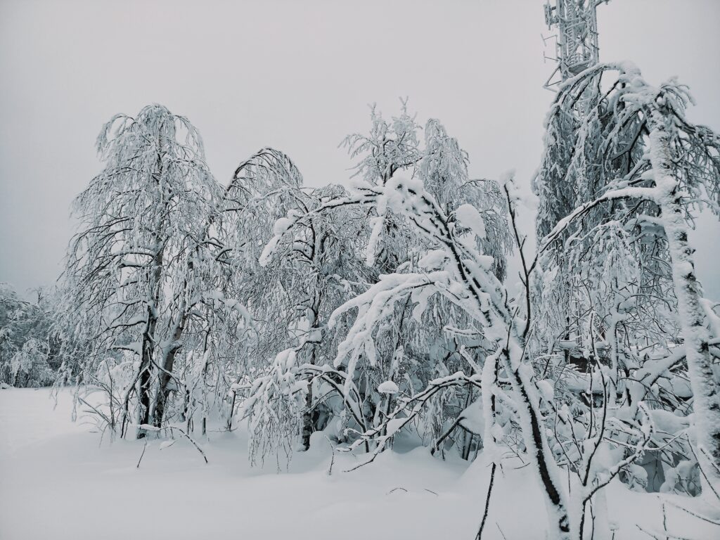    Фото: В курсе.ру