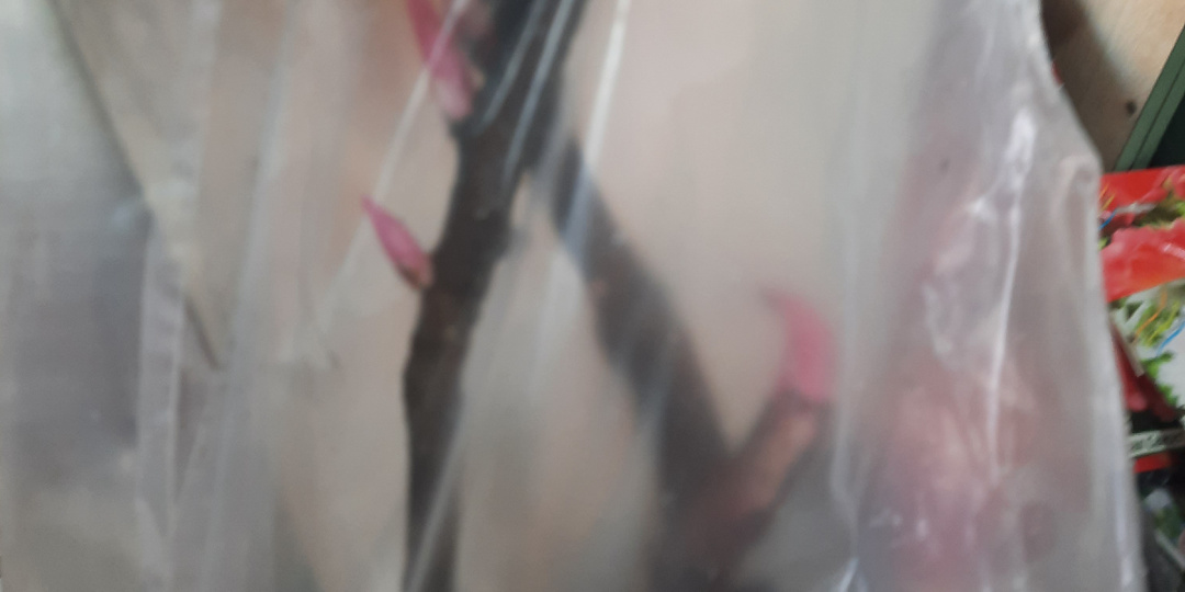 - Медовенькая моя... А я в Медовое заскочила